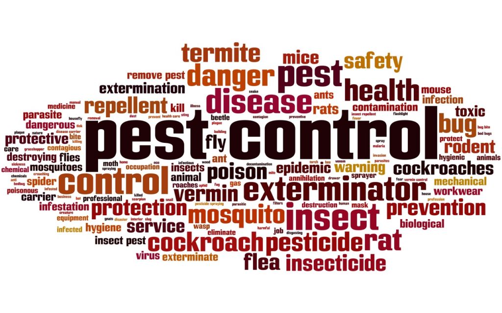 Control de Plagas (DDD)